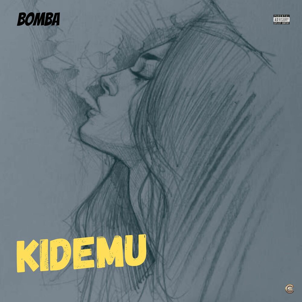 Picture of Kidemu