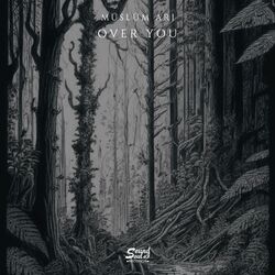 Cover of Over You