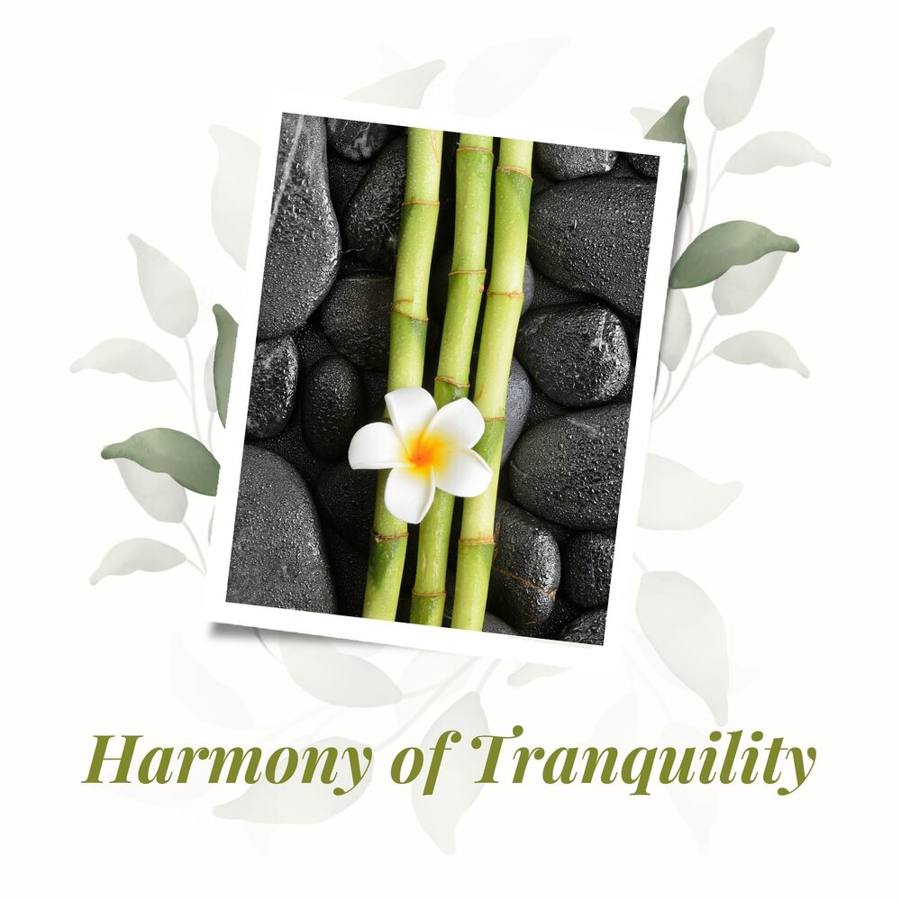 Picture of Harmony of Tranquility: An Ambient Soundscape for Yoga, Tai Chi, and Mindful Breathing Practice