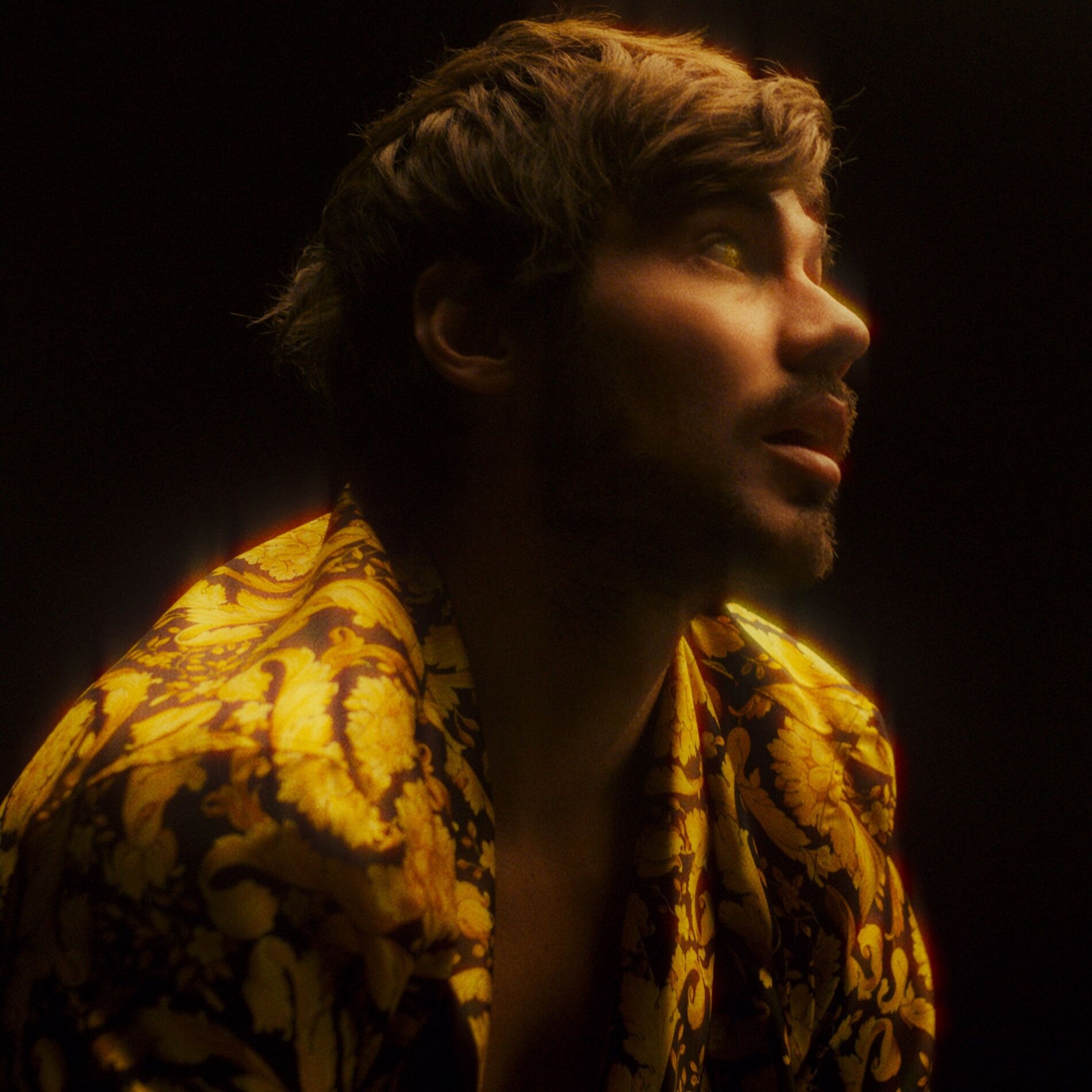 Album cover of The Healer