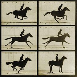 Cover of Runner