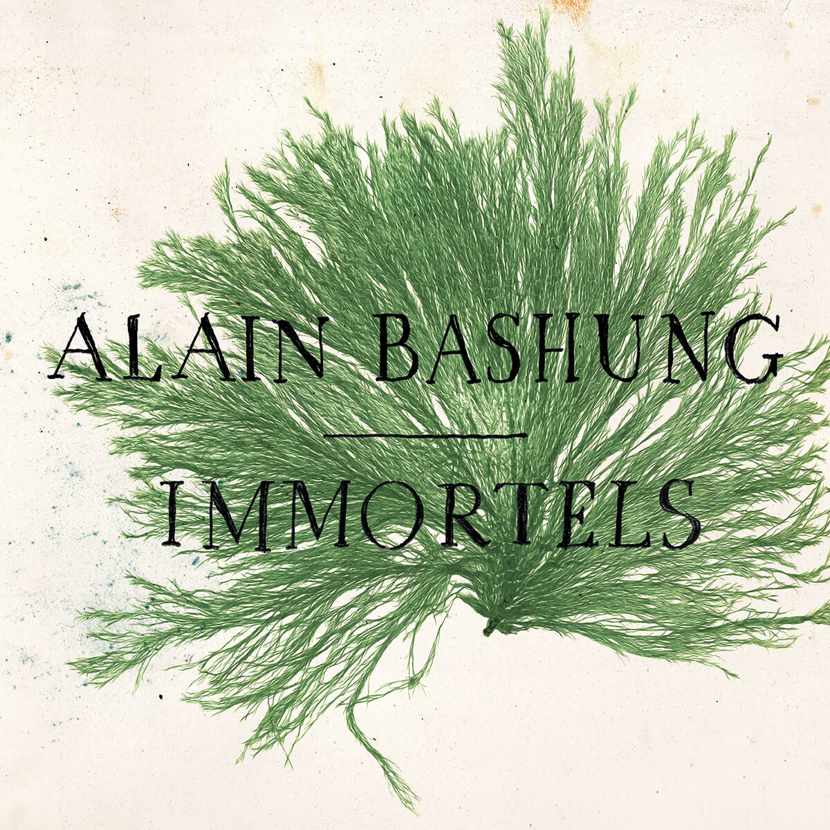 Album cover of Immortels