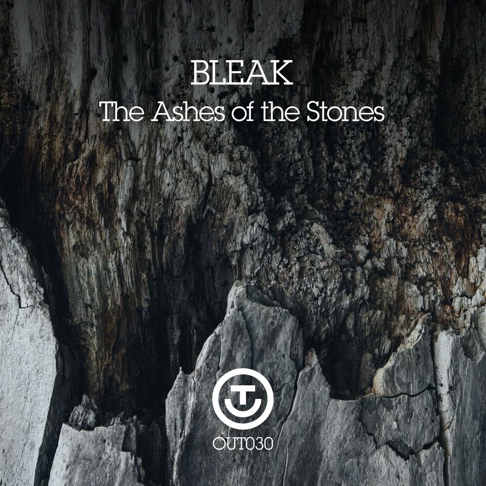 Picture of The Ashes of the Stones