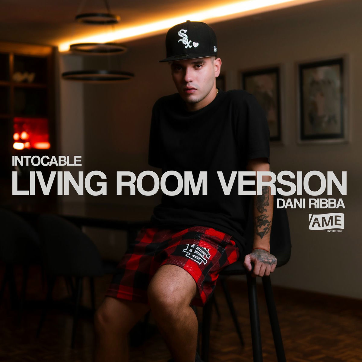 Album cover of INTOCABLE (Living Room Version)