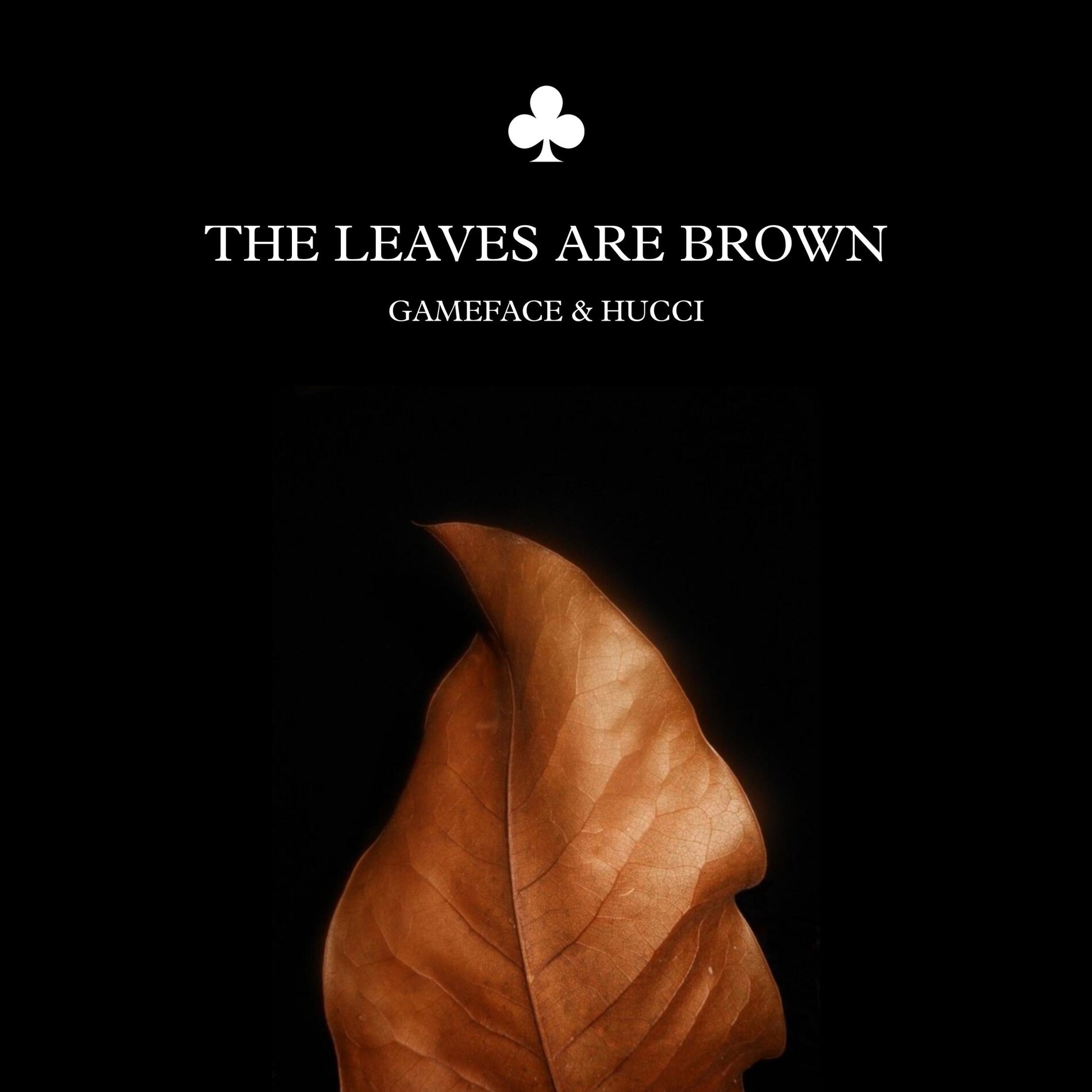 Album cover of The Leaves Are Brown (feat. Hucci)