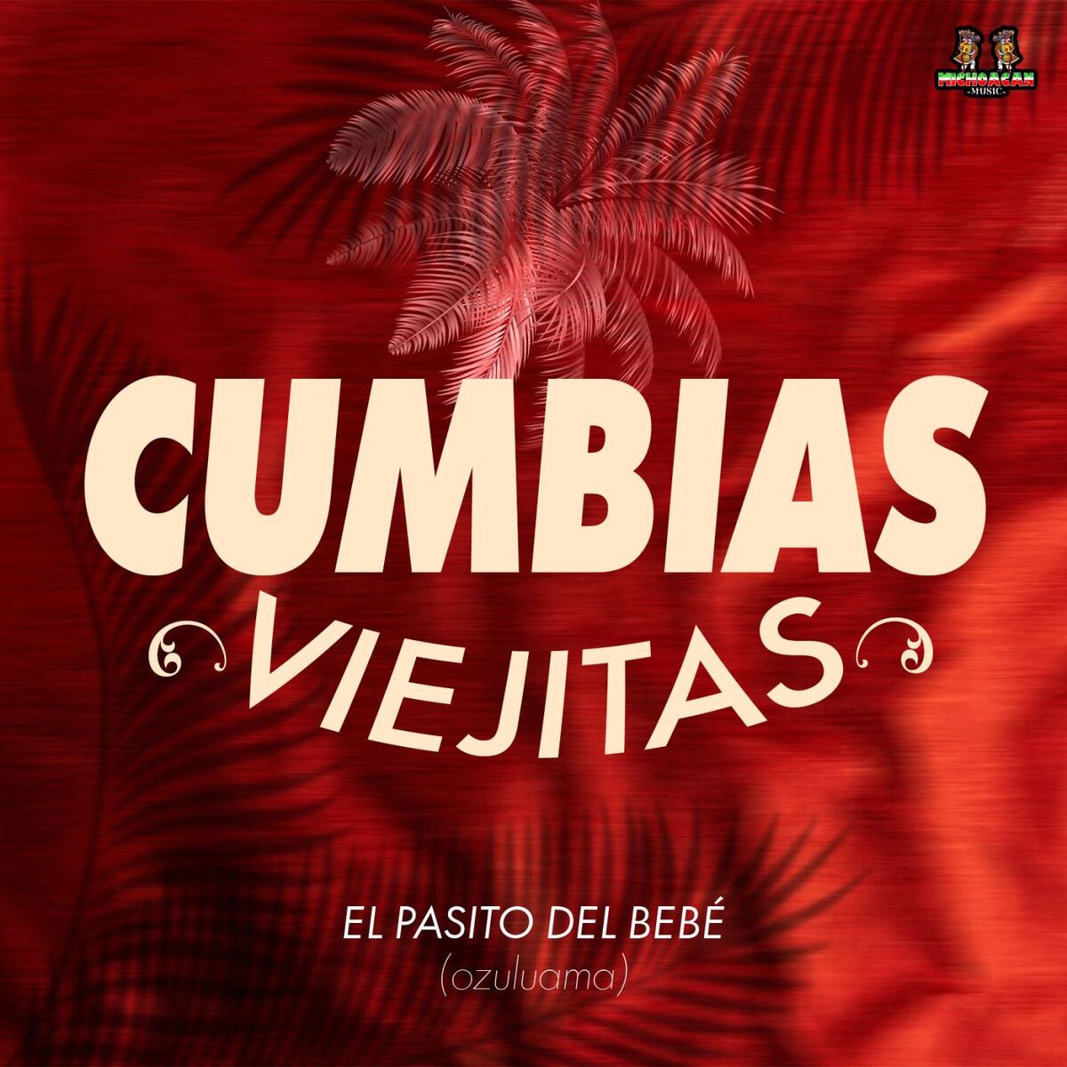 Album cover of El Pasito Del Bebe