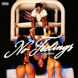 Cover of No Feelings