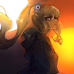 Cover of Binary Sunset