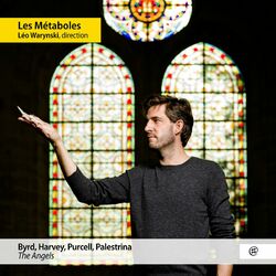 Cover of The Angels