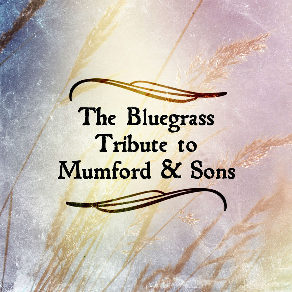 Picture of Bluegrass Tribute to Mumford & Sons