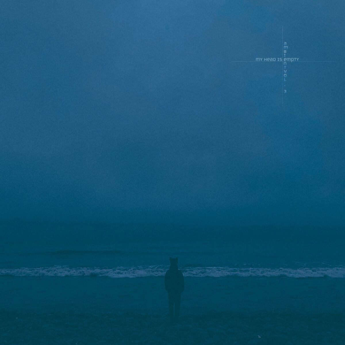Album cover of evanesce