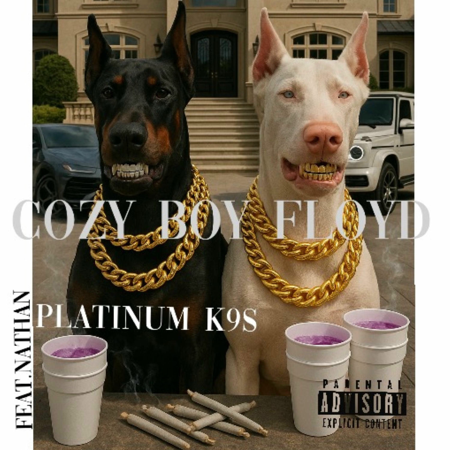 Album cover of Platinum K9s (feat. Nathan)