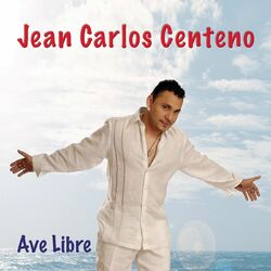 Cover of Ave Libre
