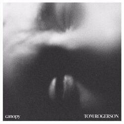 Cover of Canopy (Tom Rogerson Rework)