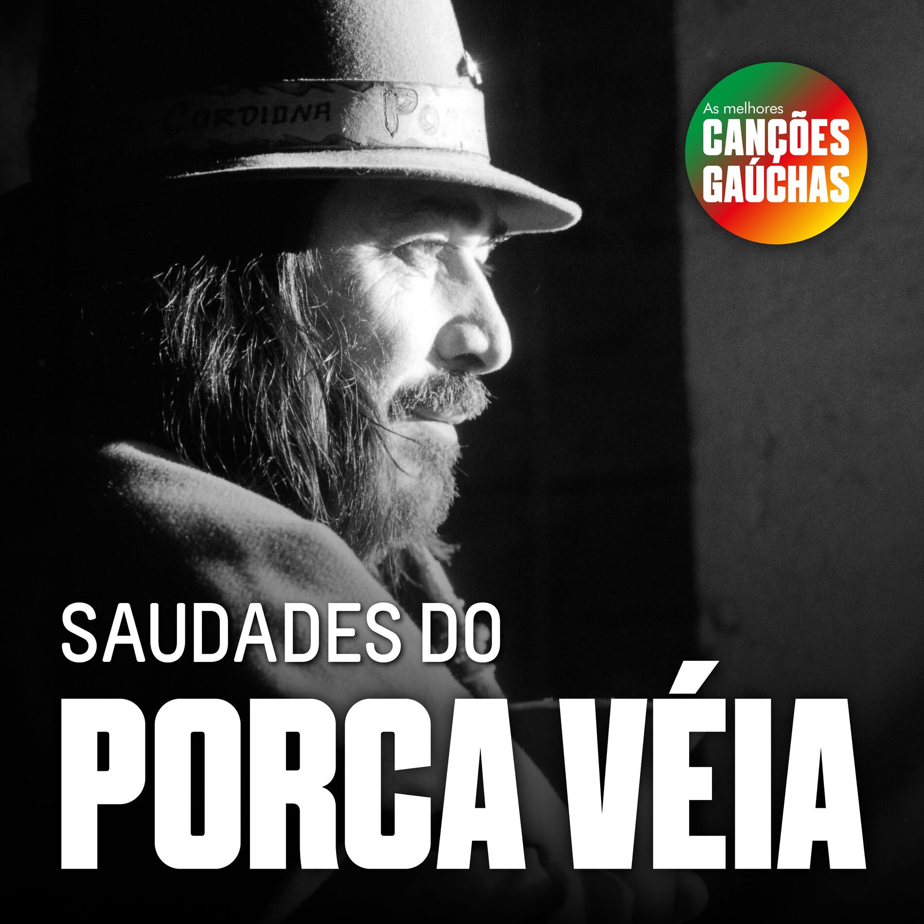 Album cover of SAUDADES DO PORCA VÉIA