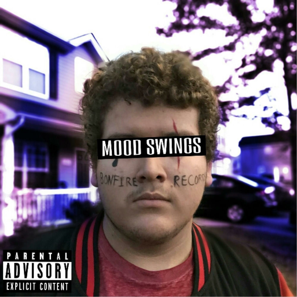 Picture of Mood Swings