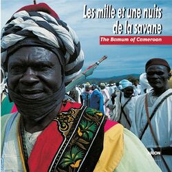 Cover of Les mille et une nuits de la savane : Le pays Bamoun au Cameroun