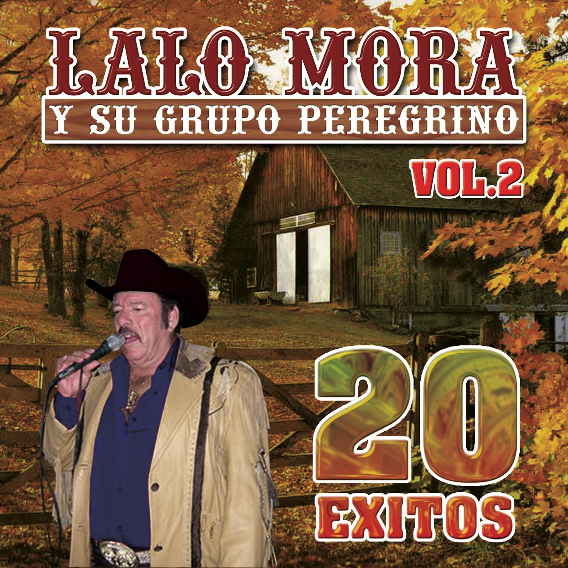 Album cover of 20 Exitos Vol. 2