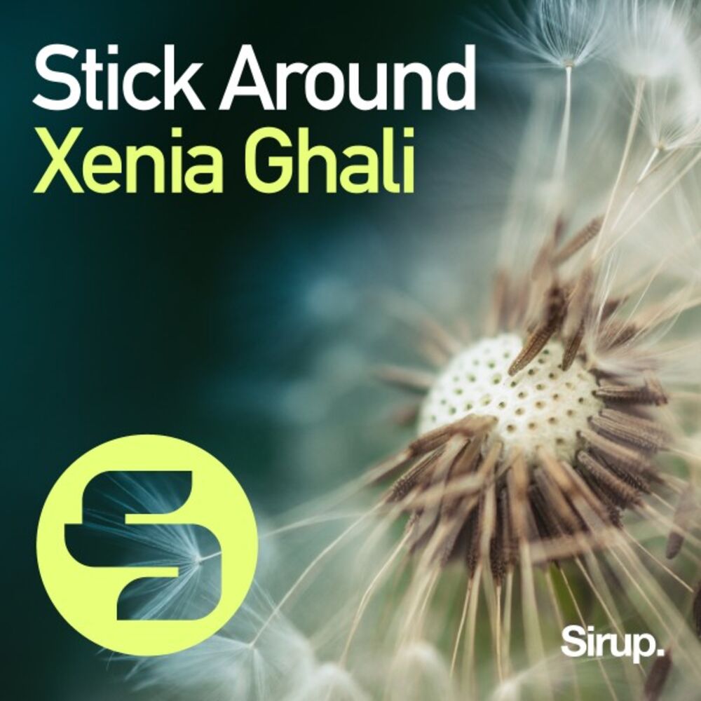 Picture of Stick Around