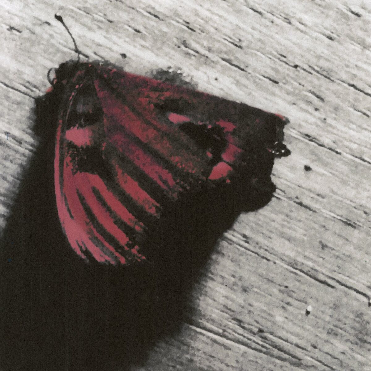 Album cover of Footnotes On The Map