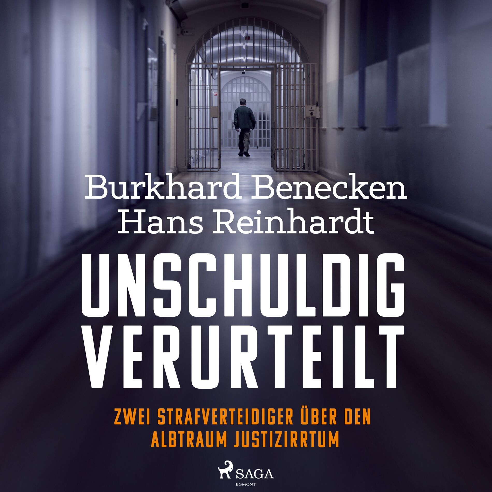Album cover of Unschuldig verurteilt: Zwei Strafverteidiger über den Albtraum Justizirrtum