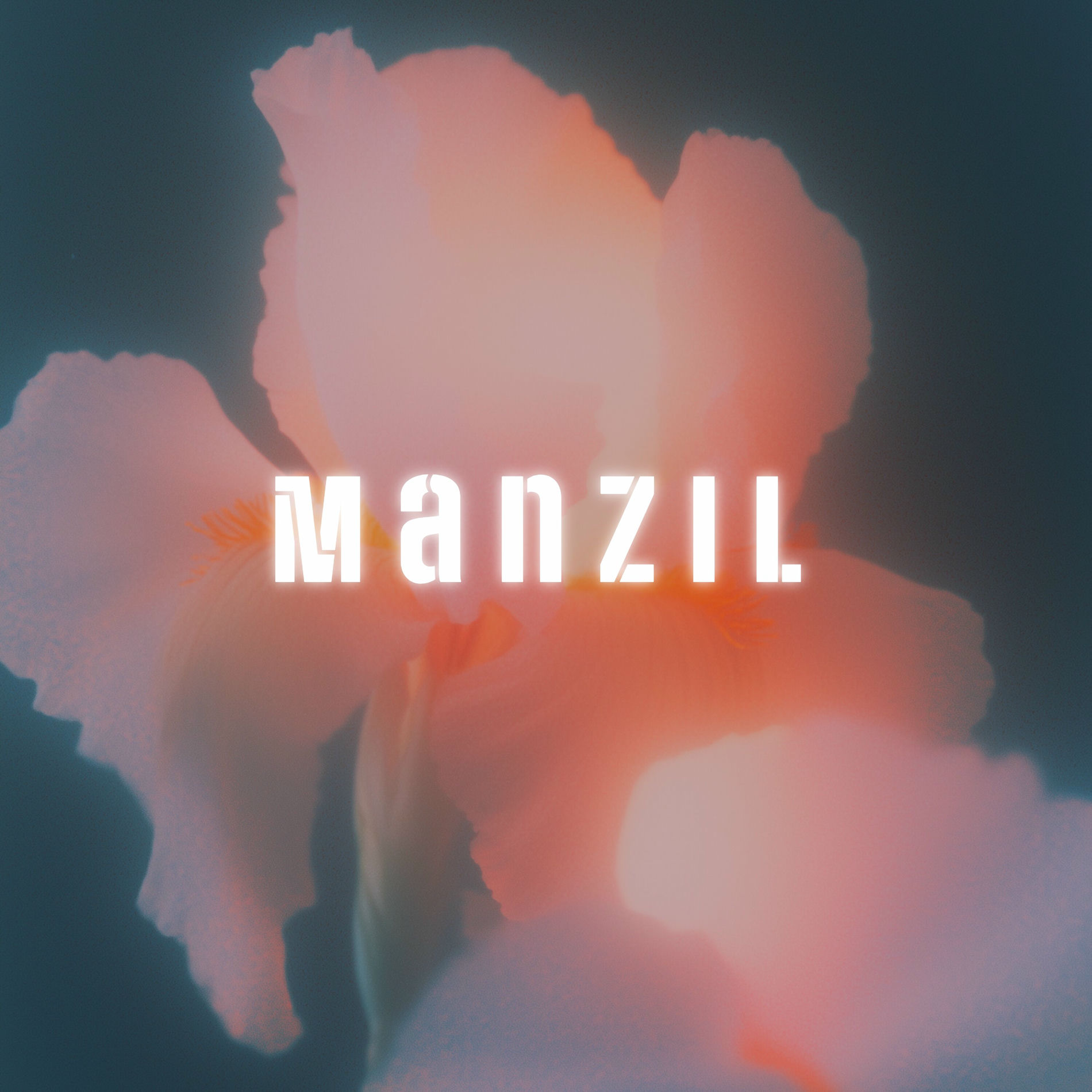 Album cover of Manzil -selected verses from Quran for protection