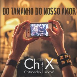 Cover of Do Tamanho do Nosso Amor