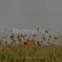 Cover of Bedtime Spa