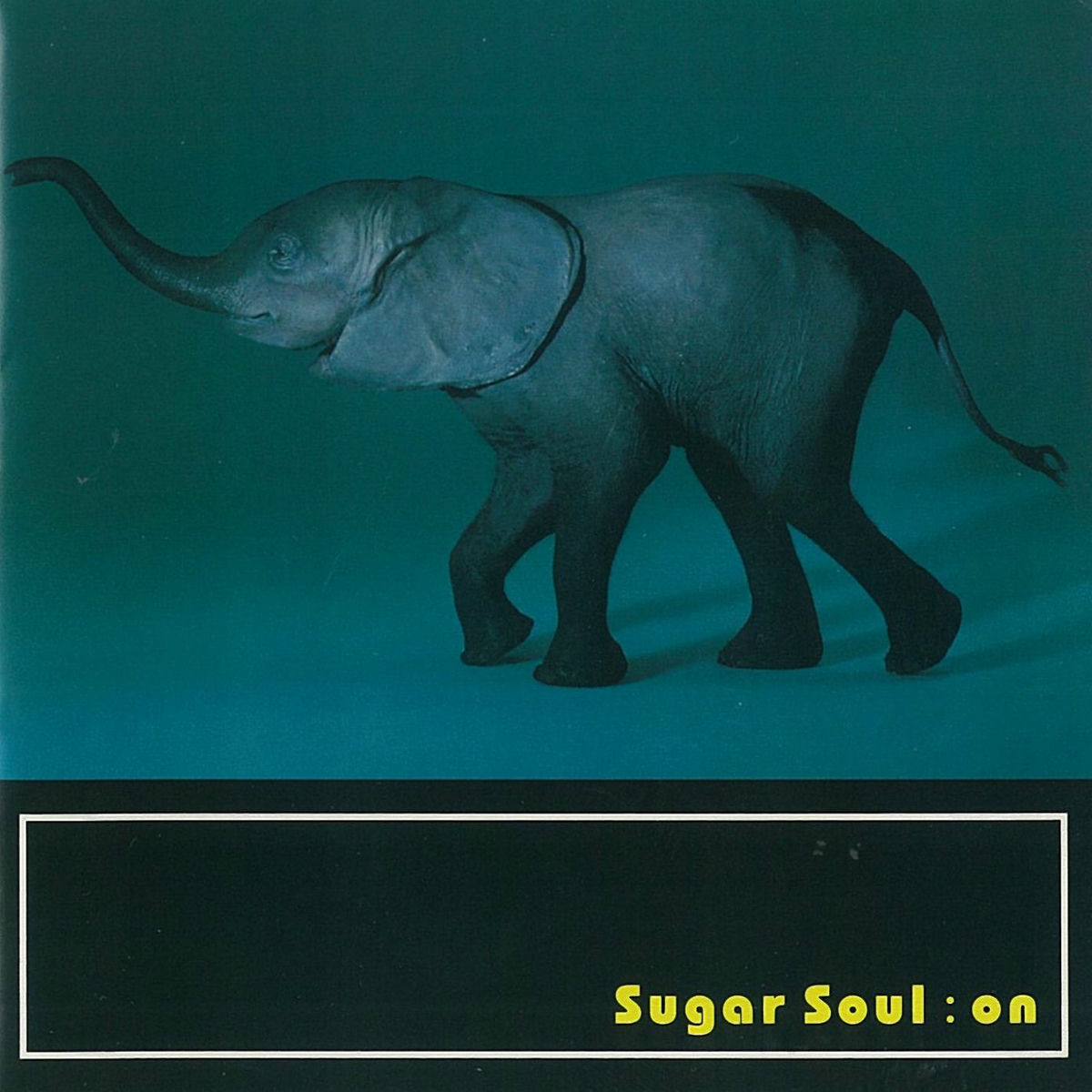 sugar soul - Garden | Deezer