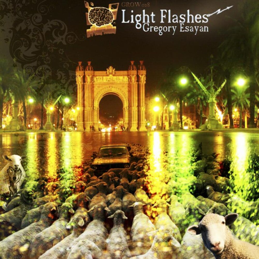 Picture of Light Flashes