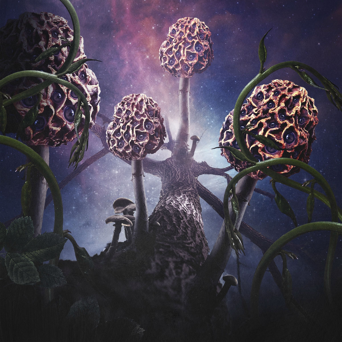 Blut Aus Nord – Ultima Thulée Ultima Thulee | BLUT AUS NORD | Blut Aus Nord