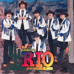Cover of Cuando Se Quiere