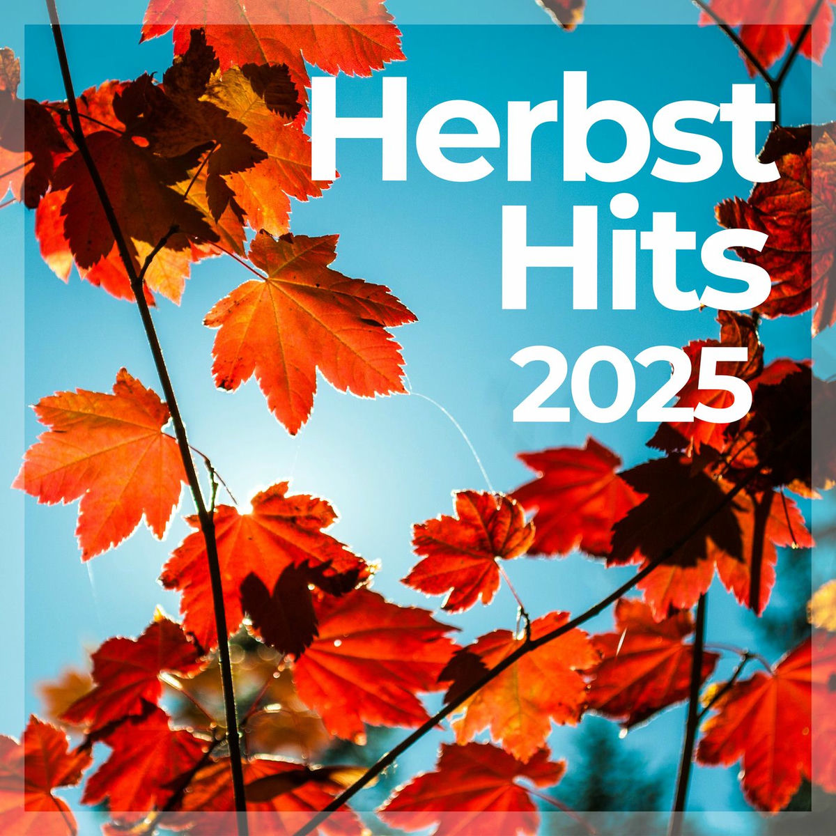 Album cover of Herbst Hits 2025