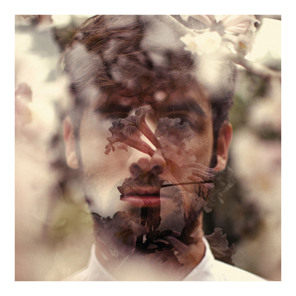 Album cover of Comportamento Geral