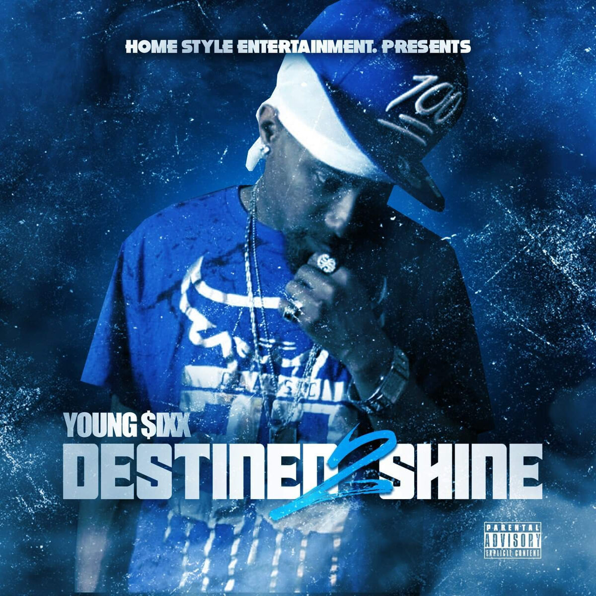 Album cover of Destined 2 Shine