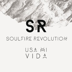 Cover of Usa Mi Vida