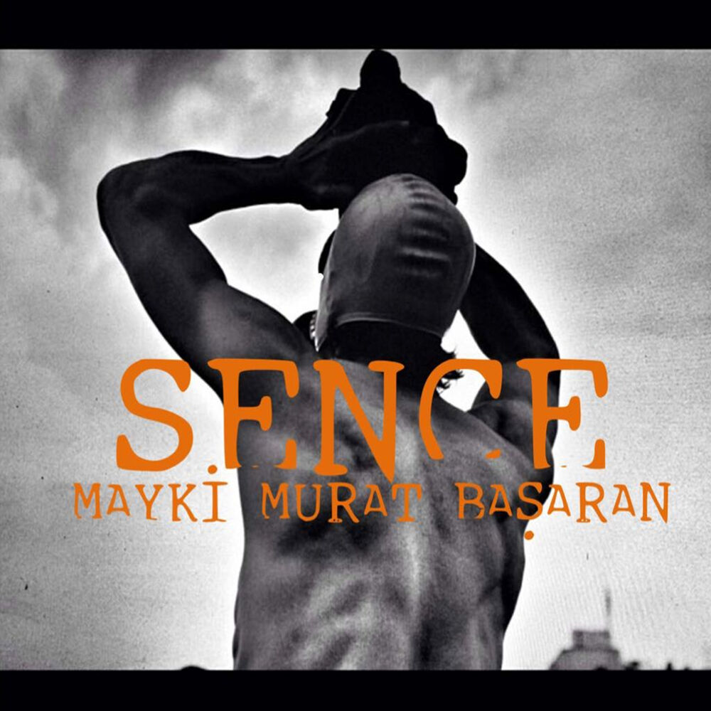 Picture of Sence