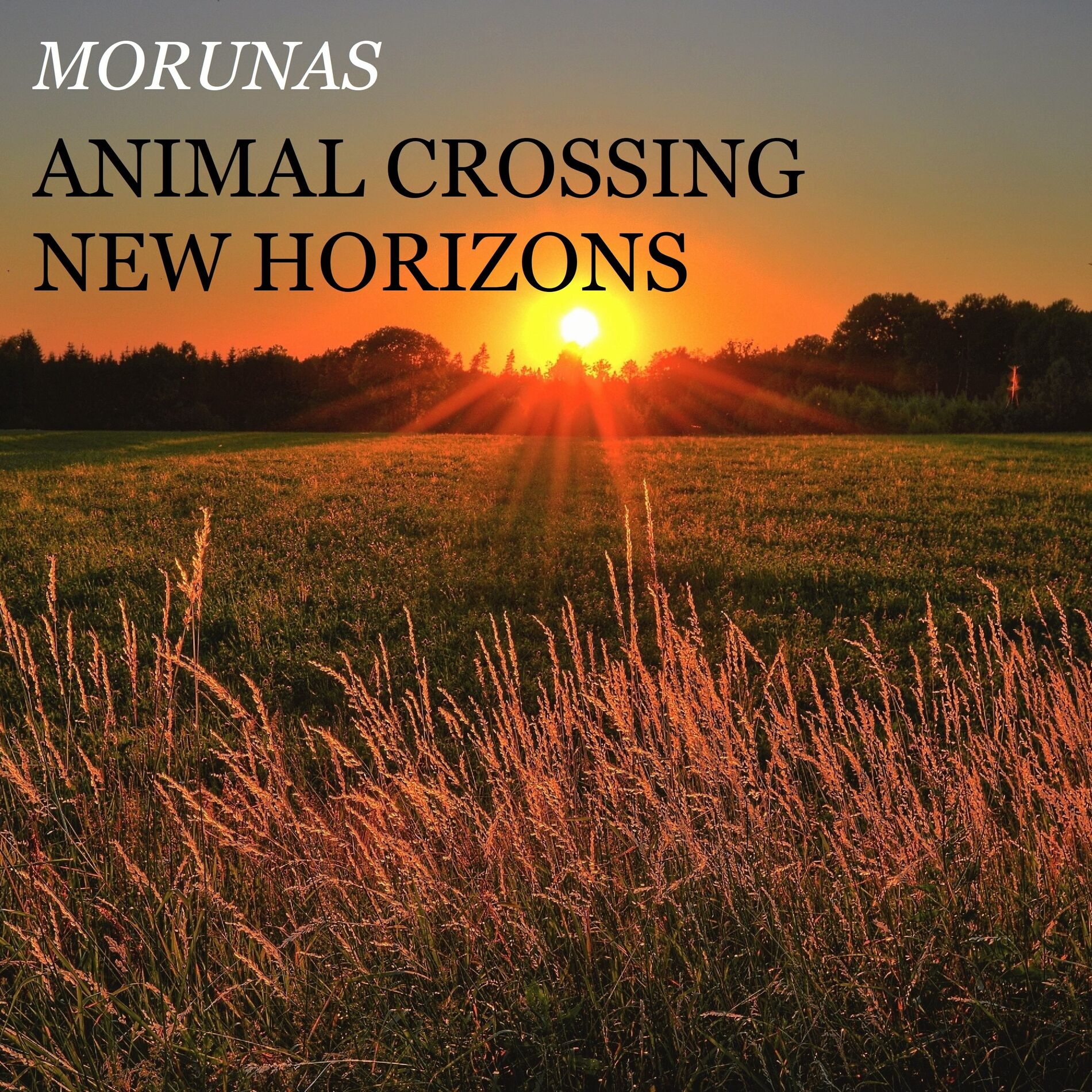 Album cover of Animal Crossing: New Horizons