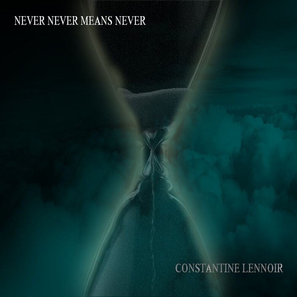 Picture of Never Never Means Never