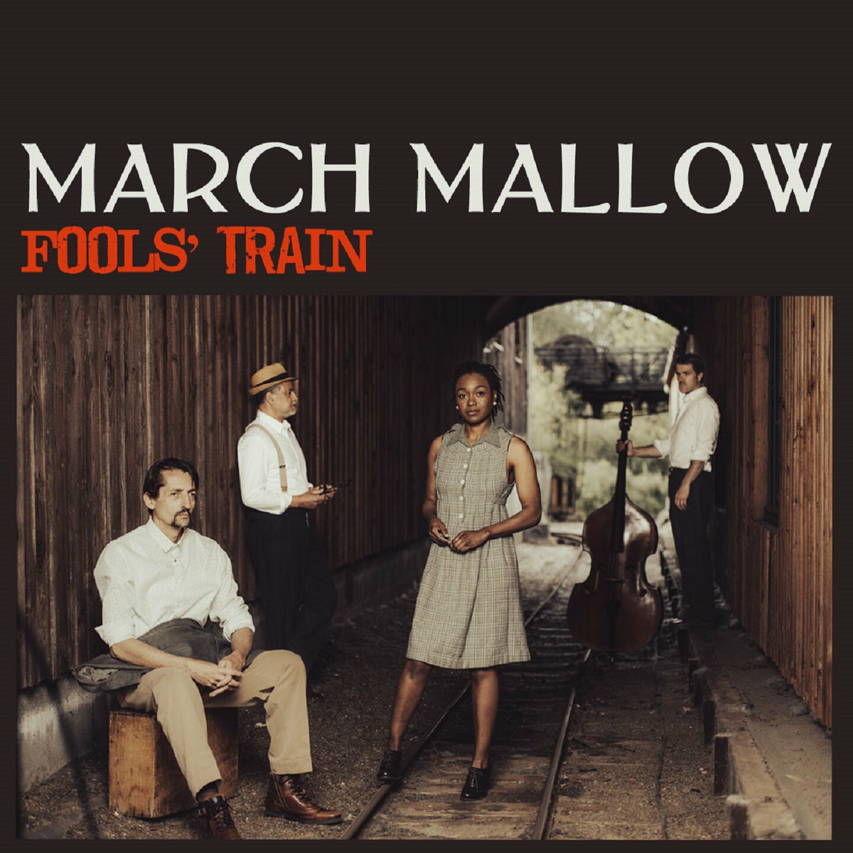 Album cover of Fools' Train