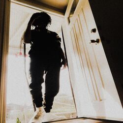 Cover of I'm Back