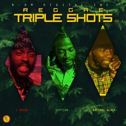 Cover of Reggae Triple Shots, Vol. 2
