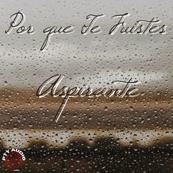 Cover of Por Que Te Fuistes