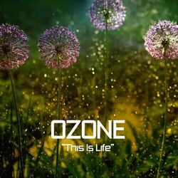 Cover of This Is Life