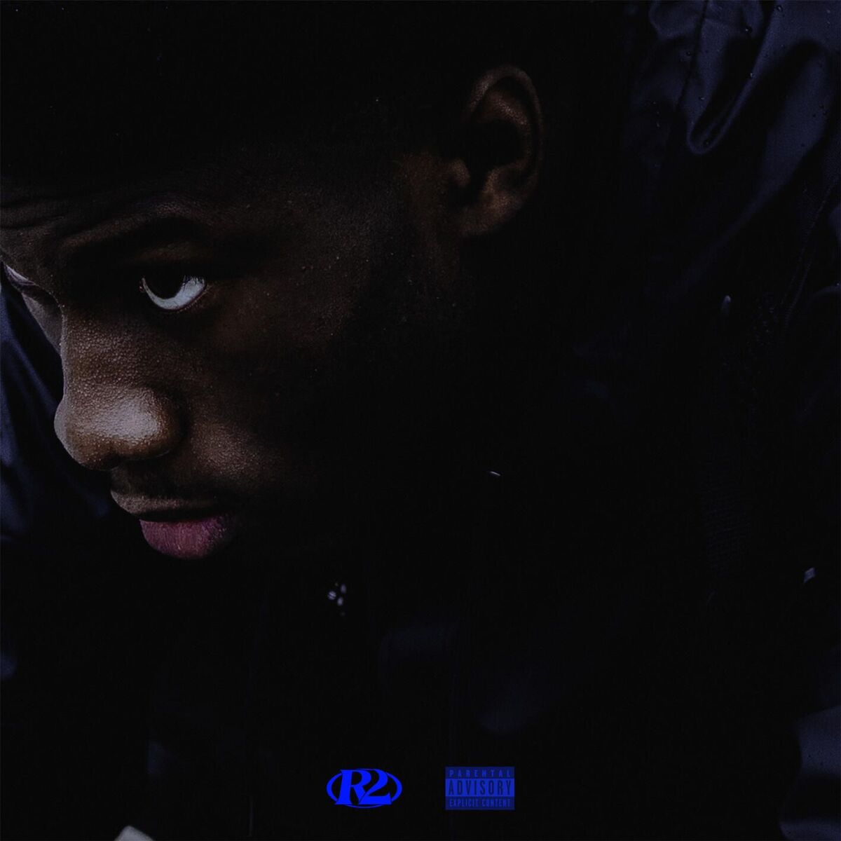 Album cover of RUINART