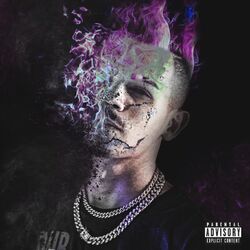 Cover of Lado Oculto