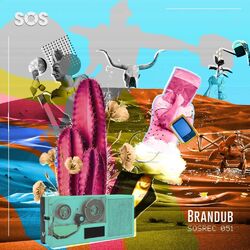 Cover of Transition