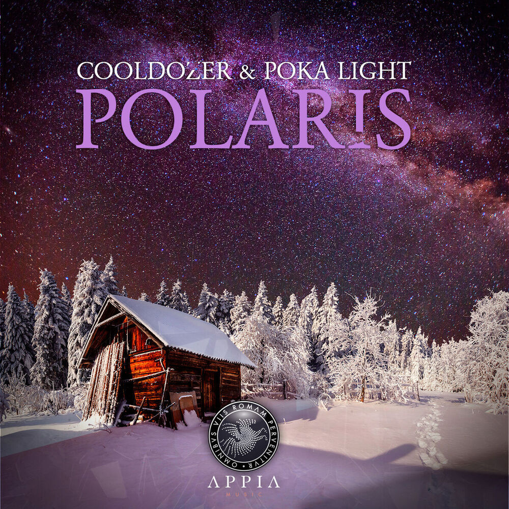 Picture of Polaris