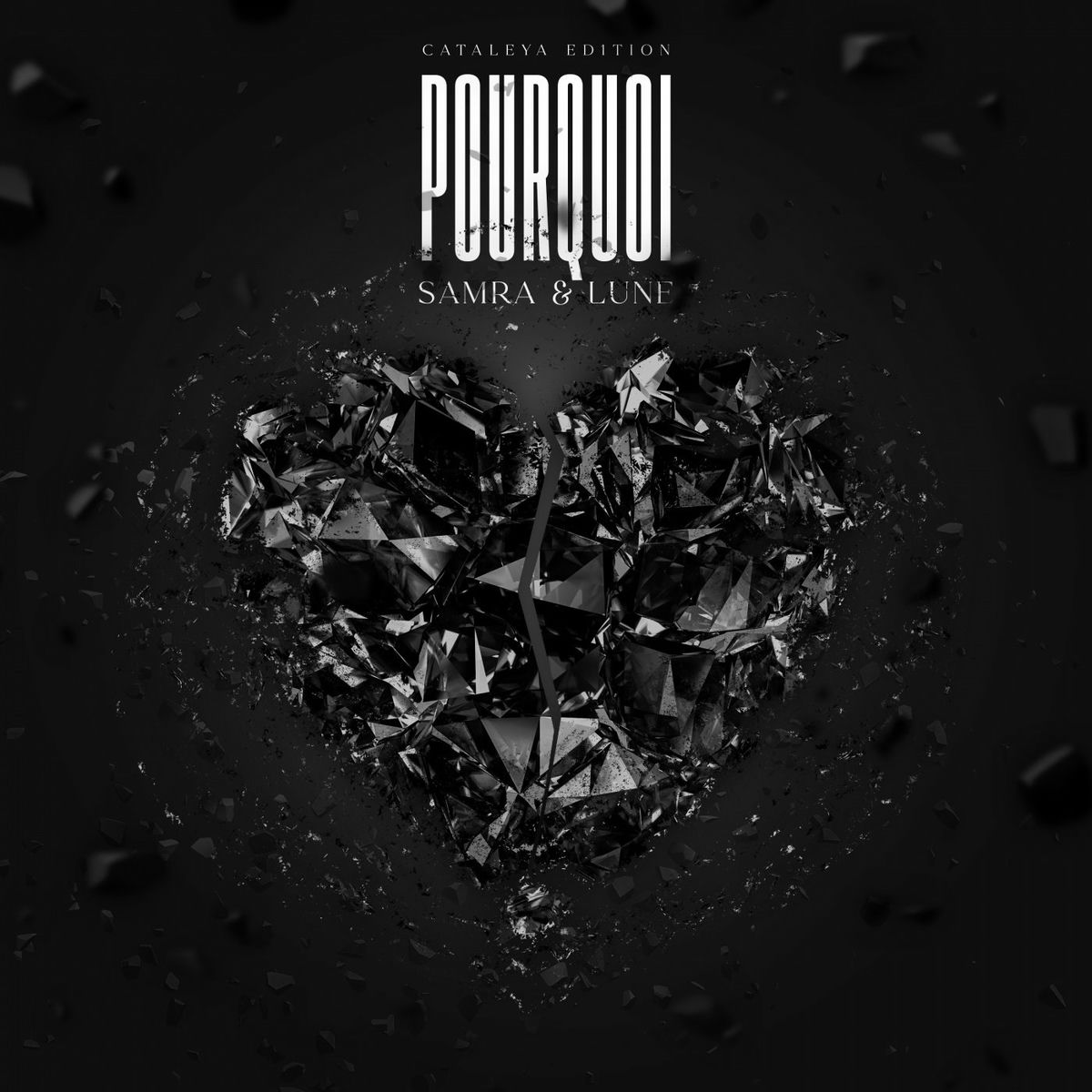Album cover of Pourquoi