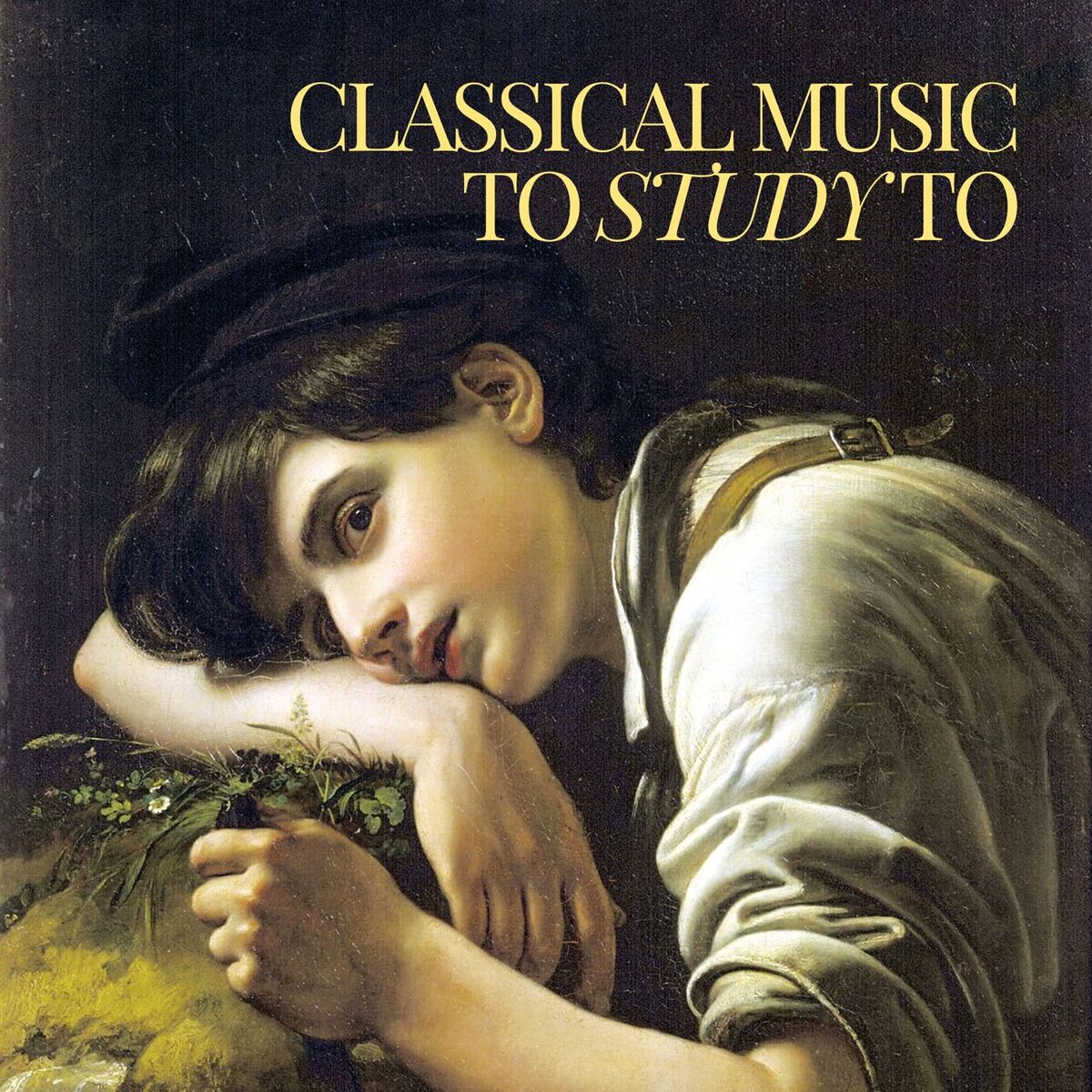 Album cover of Classical Music to Study To